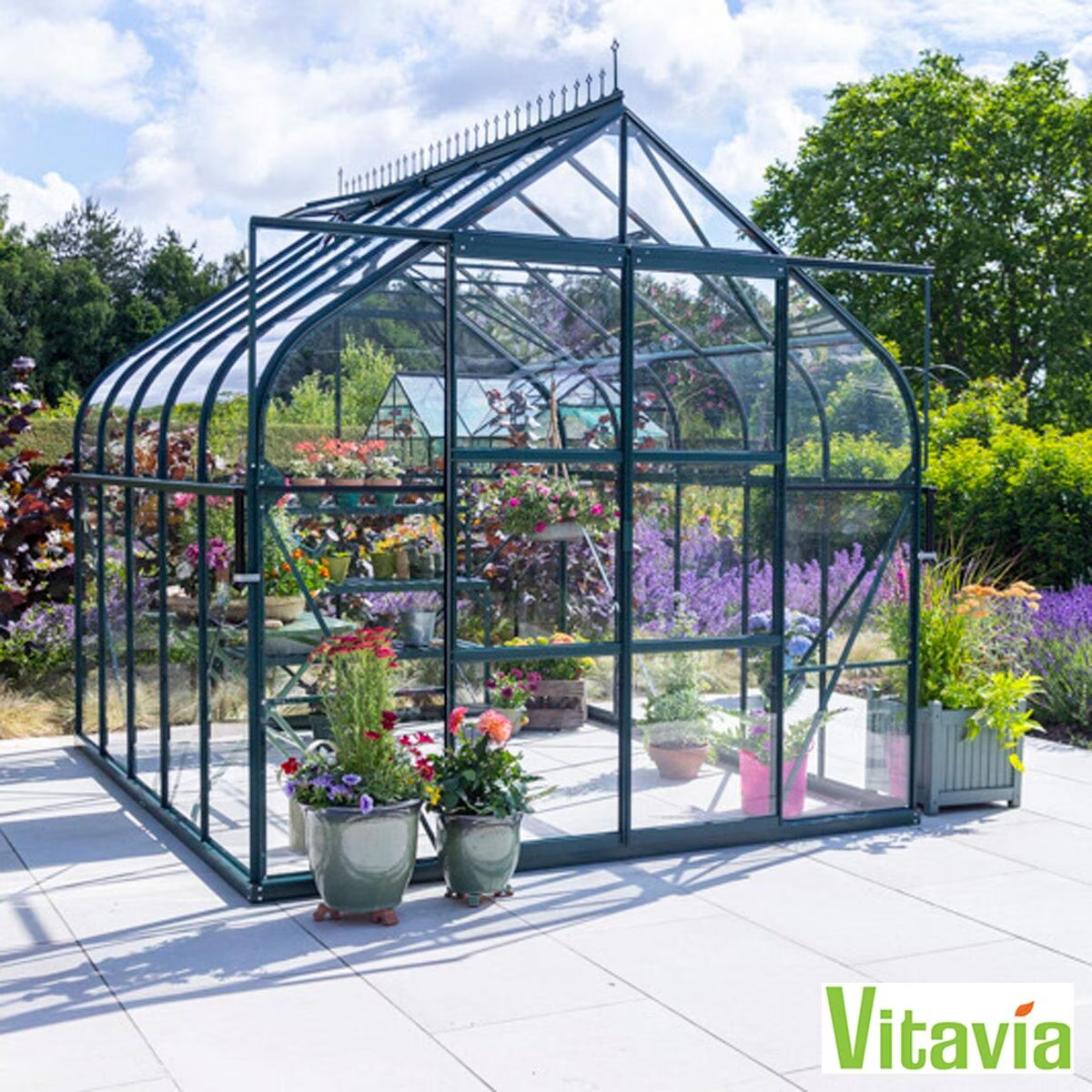 Vitavia Colorado 8300 8Ft 4